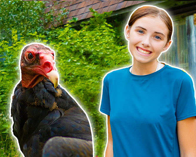 Into Wildlife Rehabilitation: First Responders - Into The Outdoors