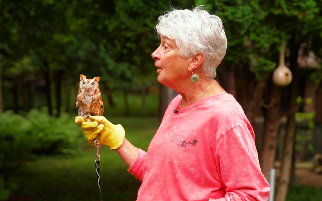 Into Environmental Sustainability