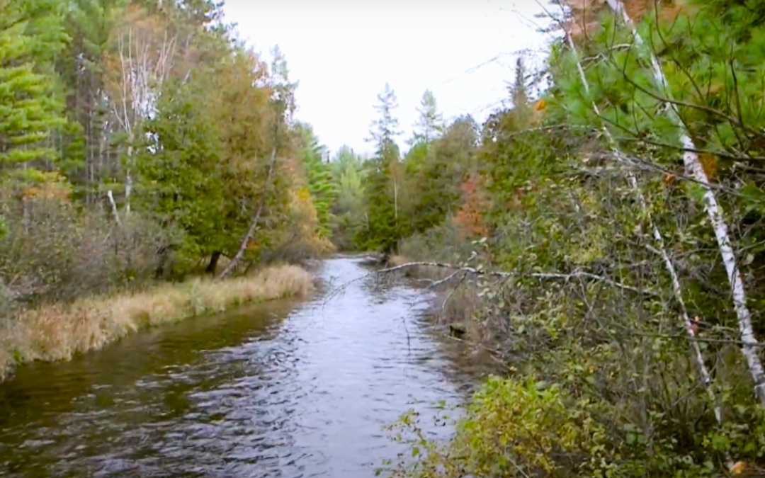 Into Boating Safety: How Life Jackets Save You