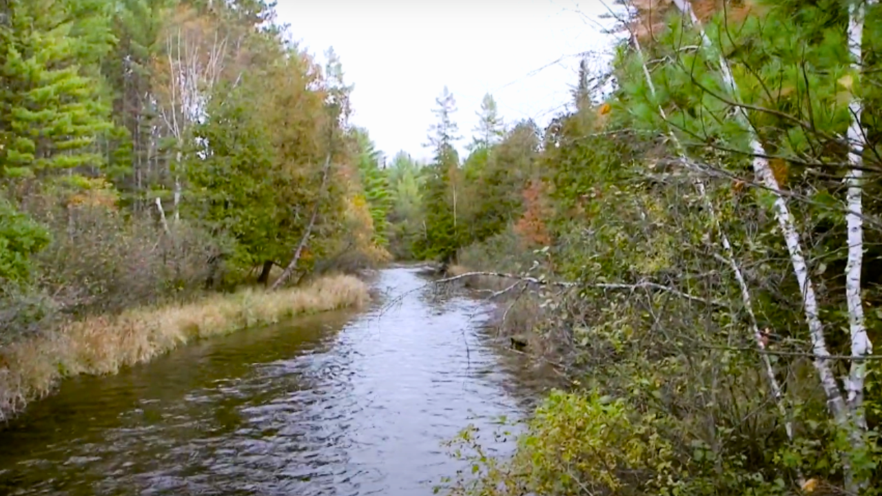 Dam Removal and Restoration