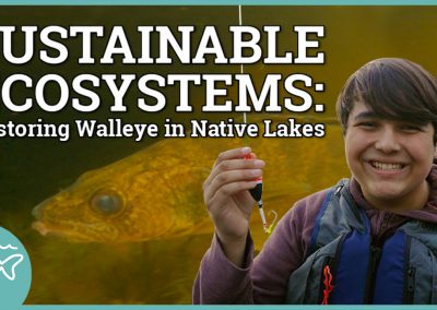 Sustainable Ecosystems: Restoring Walleyes in Native Lakes