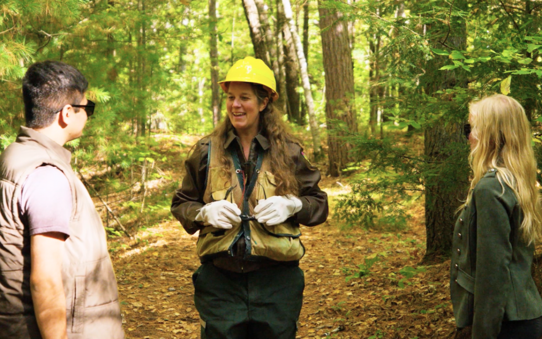 Into Forestry: Heroes of the Forest