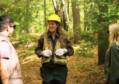 Into Forestry: Heroes of the Forest