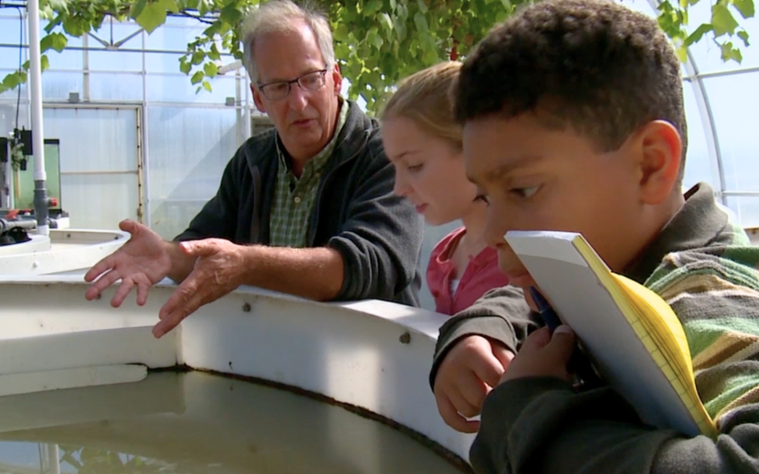 Savvy Sustainability