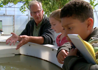 Savvy Sustainability