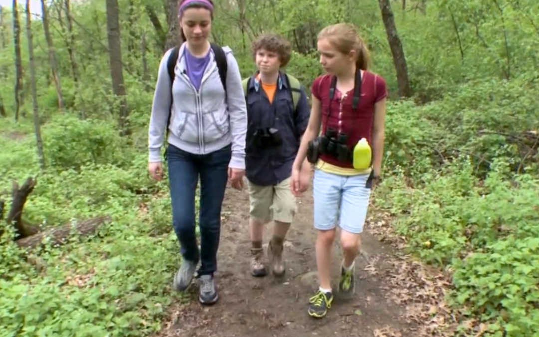 Trailing Ice Age Mysteries