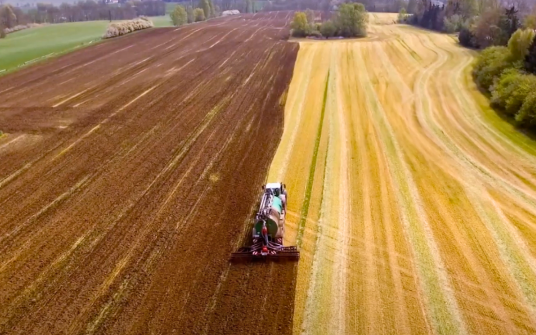 Sensible Sustainable Solutions