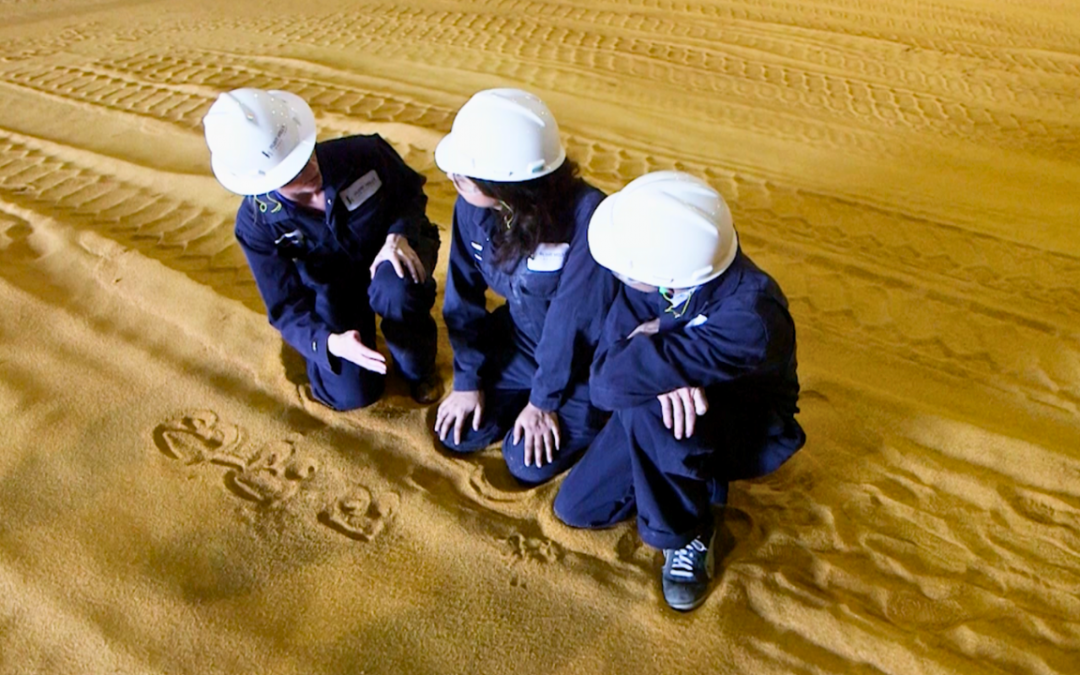 The Science of Modern Biofuels