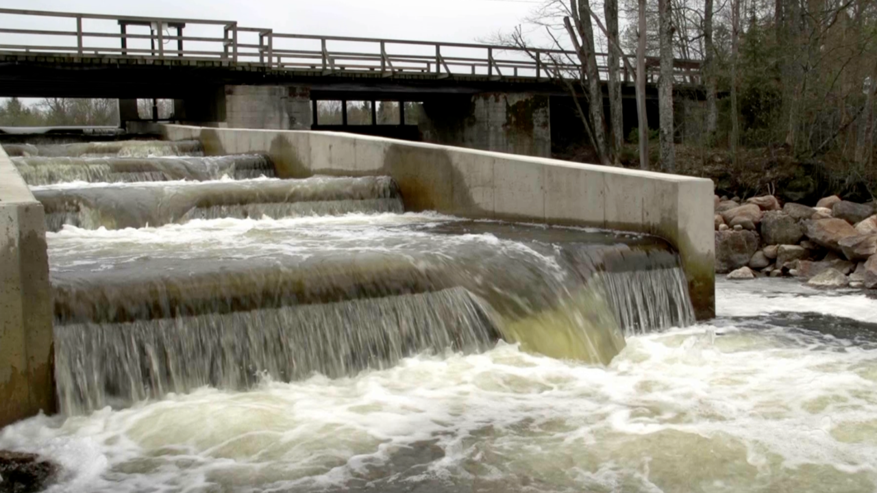 Reconnecting Rivers & Invasive Species