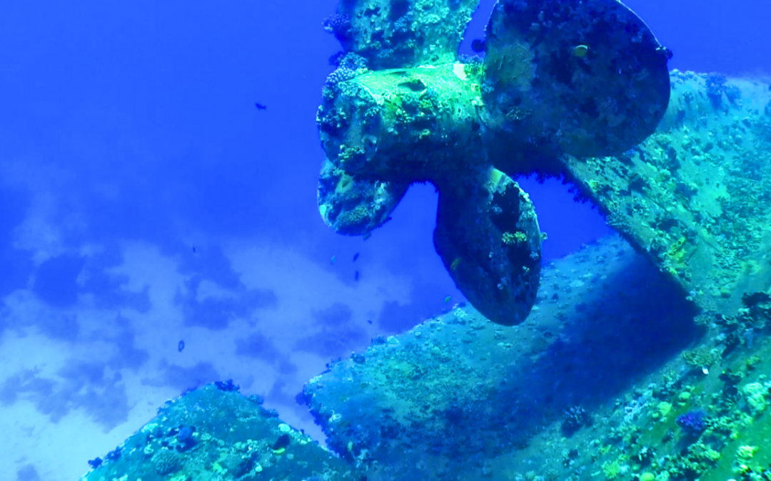 Into National Marine Sanctuaries