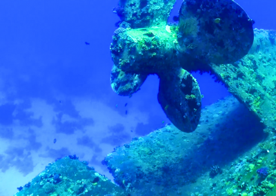 Into National Marine Sanctuaries