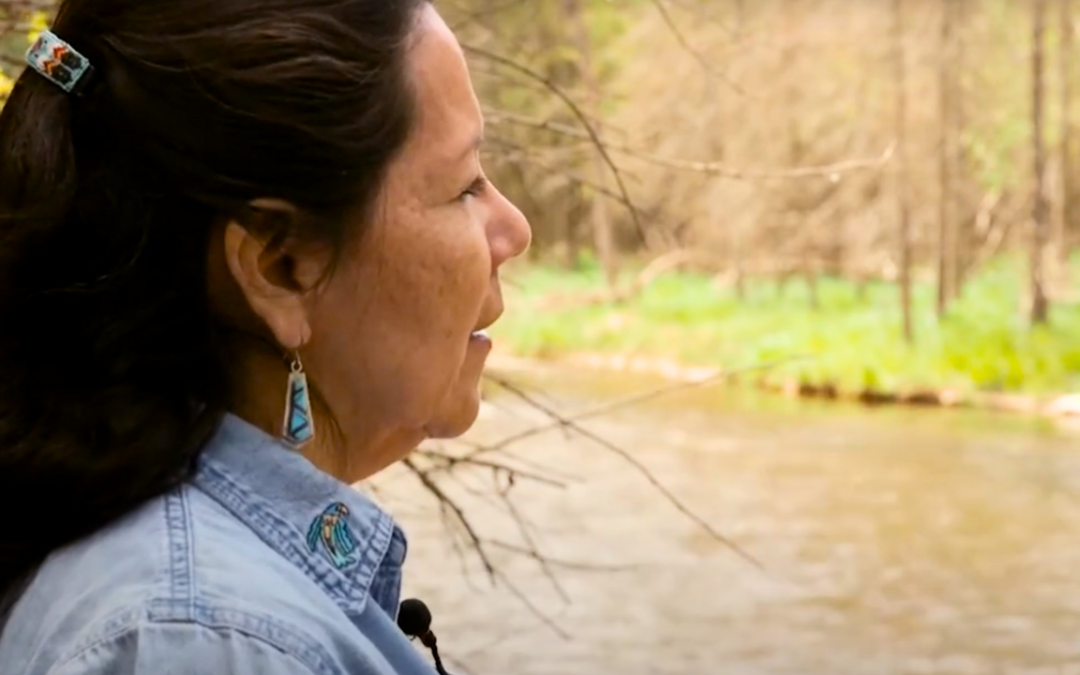 The Ottaway, A River Reborn / A River Reborn (Grand Traverse)