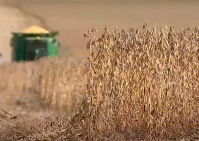 Soybean Sustainability
