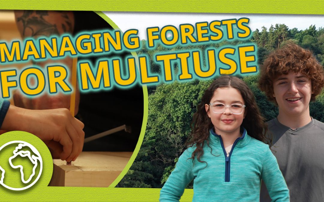 Managing Forests for Multi-Use