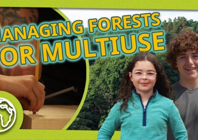 Managing Forests for Multi-Use