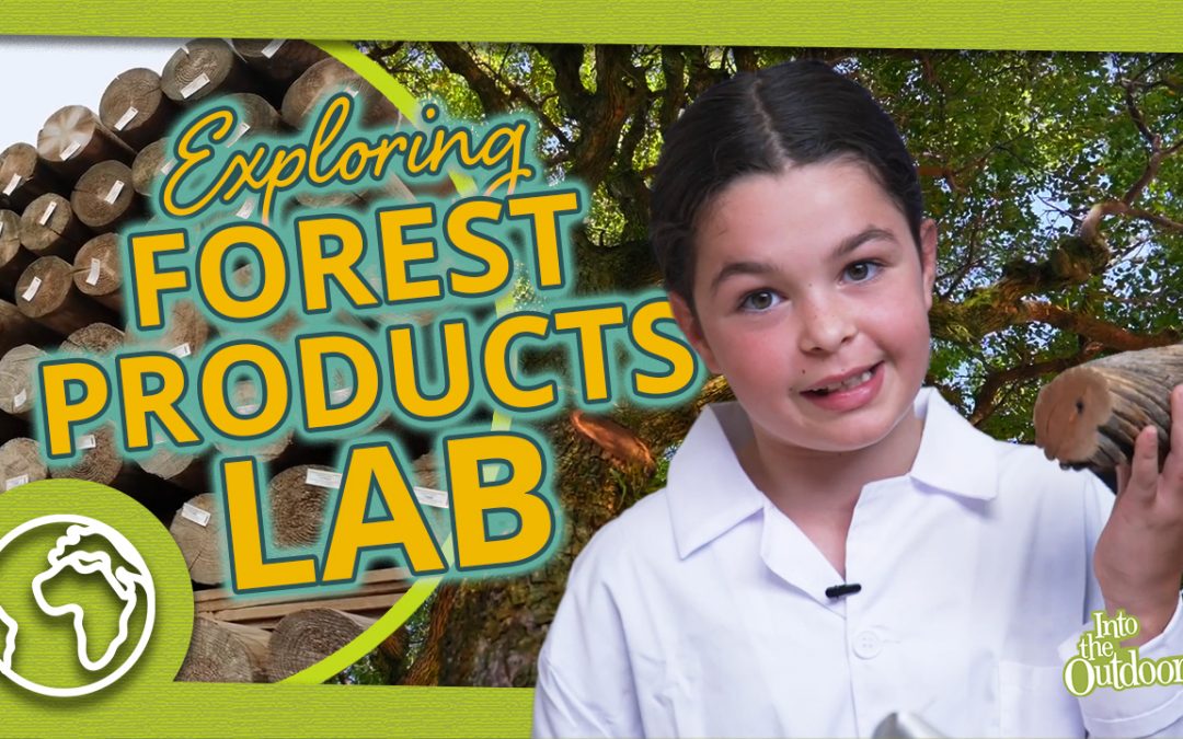The Forest Products Lab