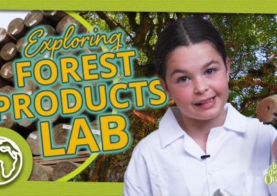 The Forest Products Lab