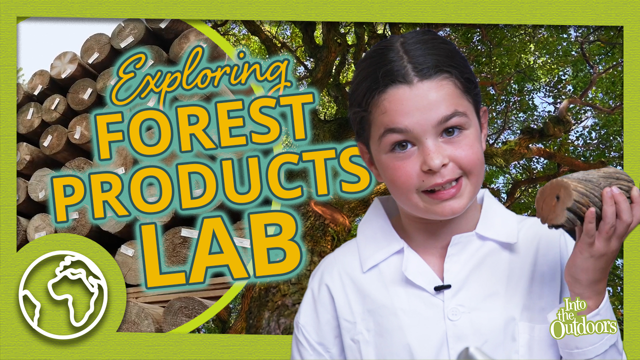 The Forest Products Lab