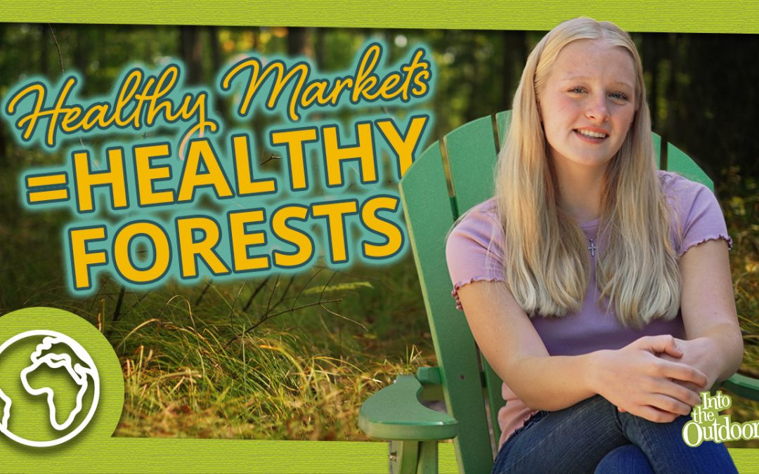 How Healthy Markets Sustain Forests