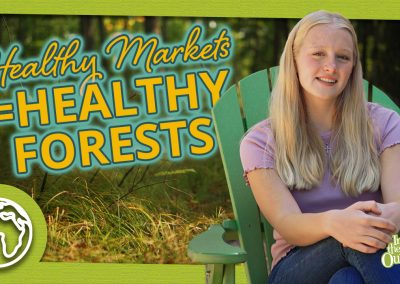How Healthy Markets Sustain Forests