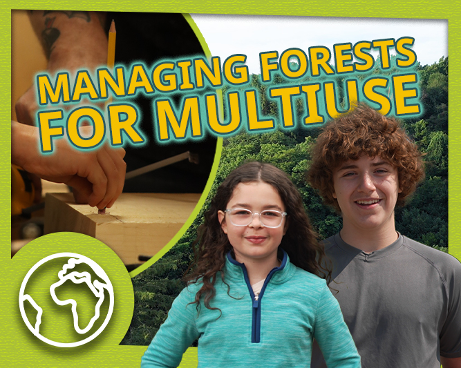 ITO-Managing-Forests-MultiUse-Video-Thumbnail