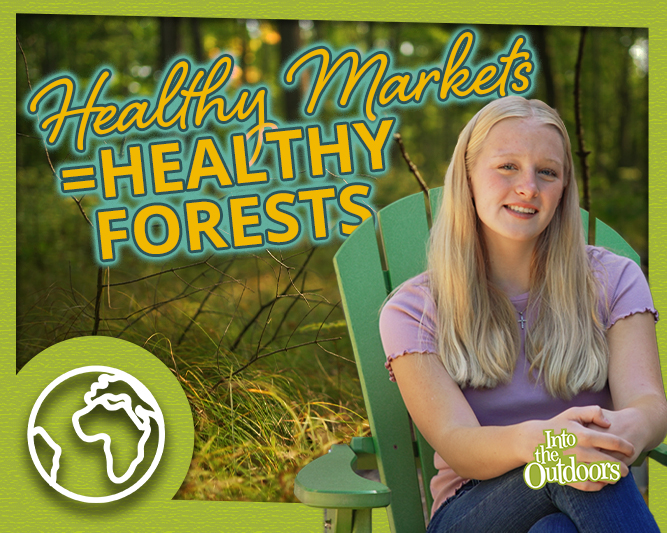 ITO-Healthy-Forests-Video-Thumbnail