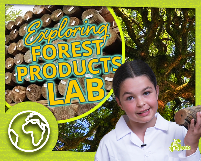 ITO-Forest-Products-Lab-Thumbnail