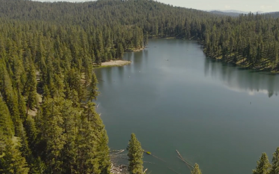 Fishing in YOUR National Forests