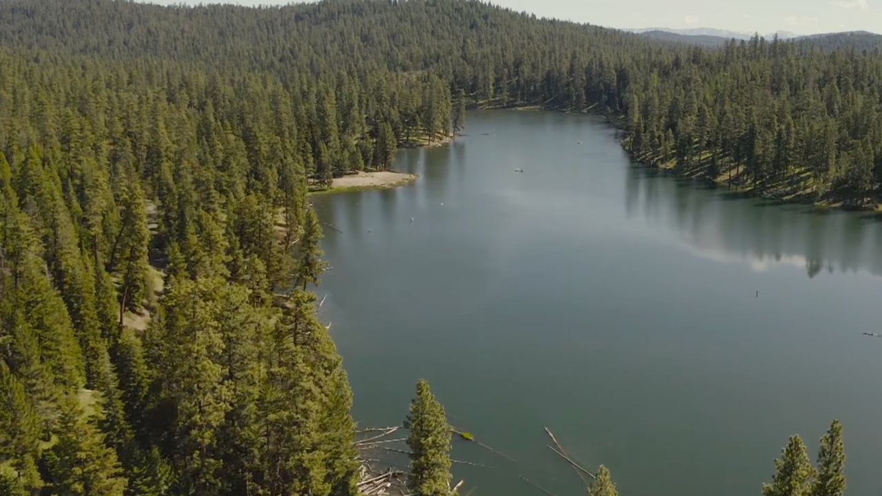 Fishing in YOUR National Forests