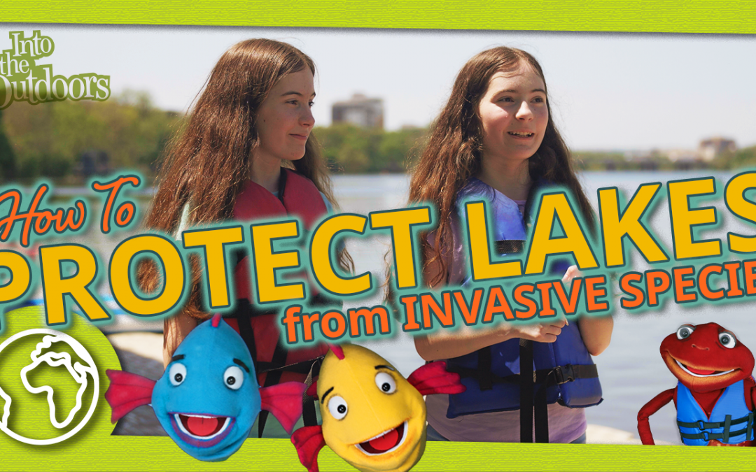 How to Protect Lakes from Invasive Species
