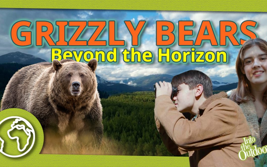 Grizzly Bears Beyond the Horizon